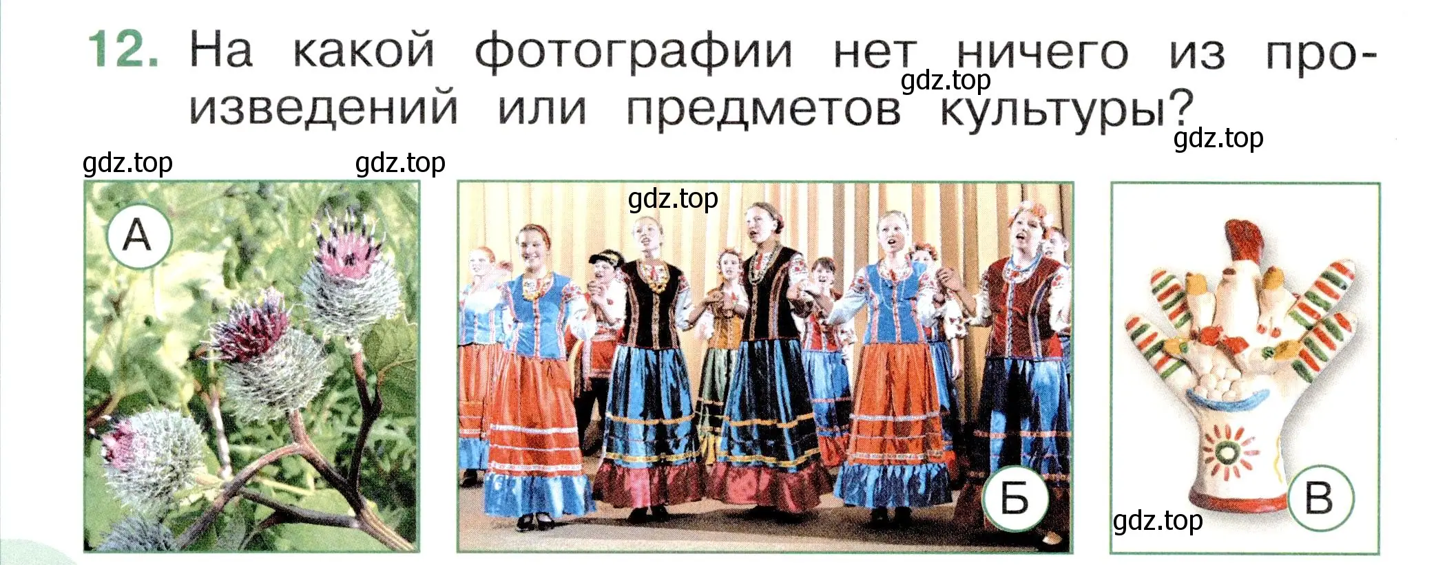 Условие номер 12 (страница 6) гдз по окружающему миру 1 класс Плешаков, Новицкая, тесты