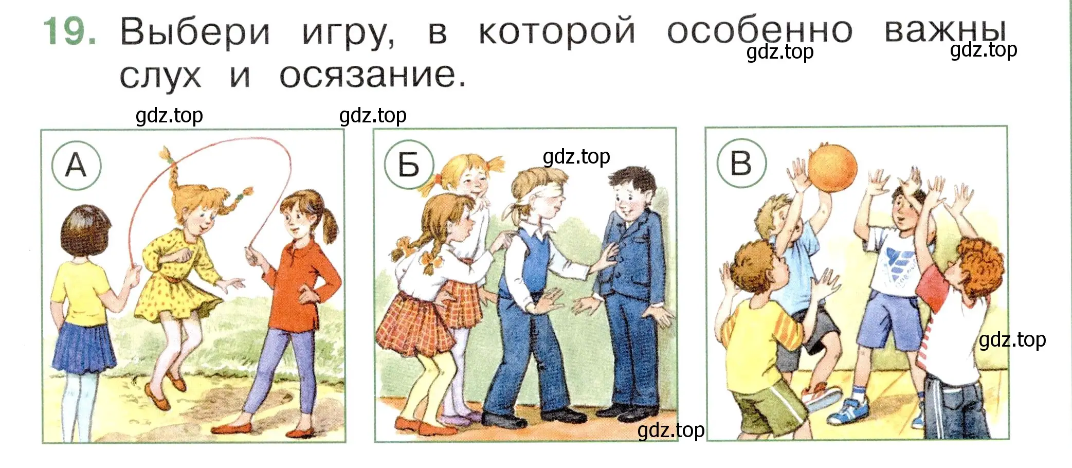 Условие номер 19 (страница 9) гдз по окружающему миру 1 класс Плешаков, Новицкая, тесты