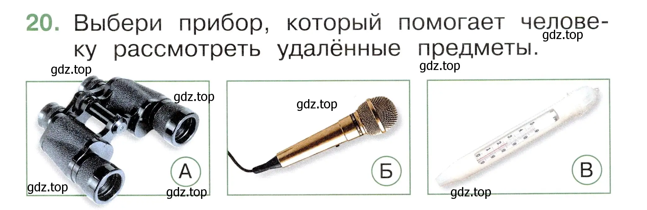 Условие номер 20 (страница 9) гдз по окружающему миру 1 класс Плешаков, Новицкая, тесты