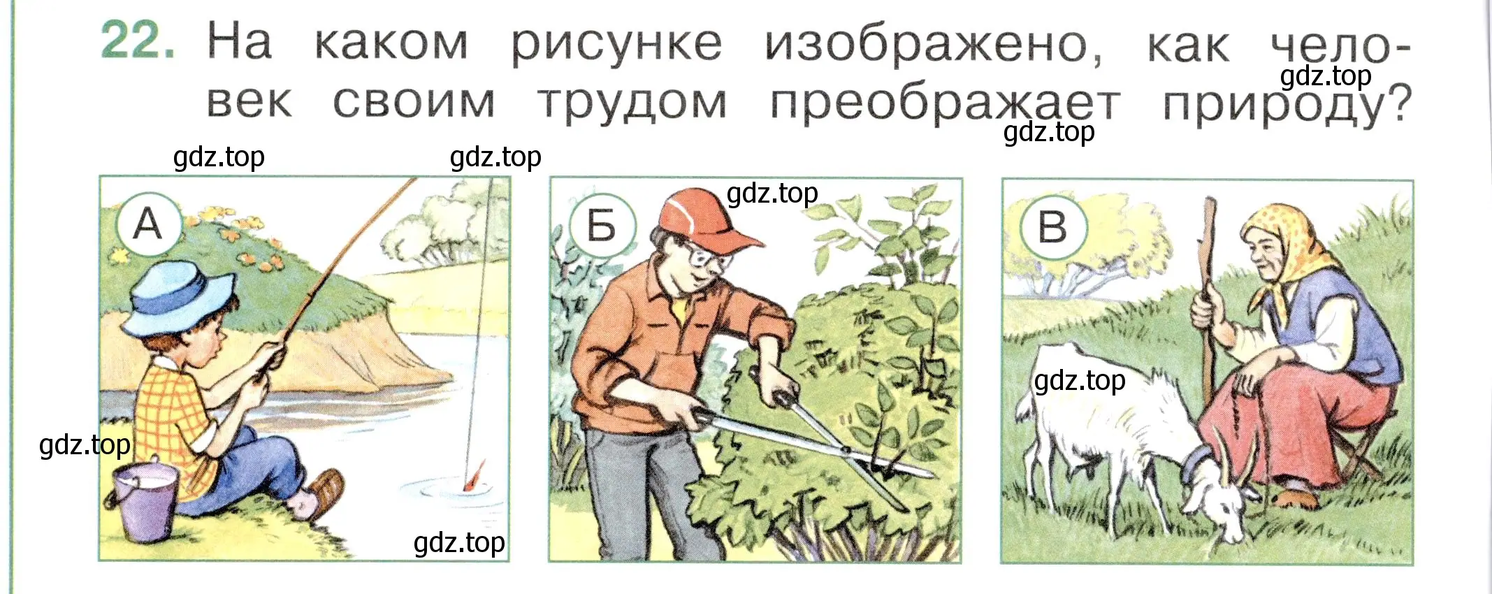 Условие номер 22 (страница 10) гдз по окружающему миру 1 класс Плешаков, Новицкая, тесты