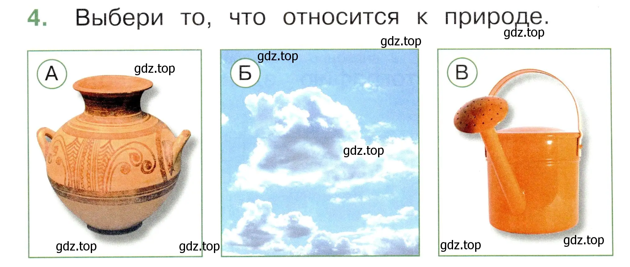 Условие номер 4 (страница 4) гдз по окружающему миру 1 класс Плешаков, Новицкая, тесты