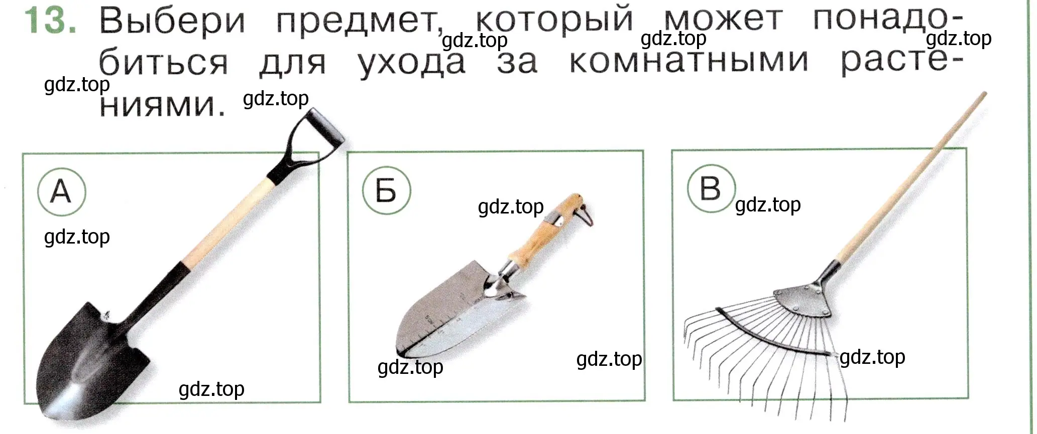 Условие номер 13 (страница 17) гдз по окружающему миру 1 класс Плешаков, Новицкая, тесты