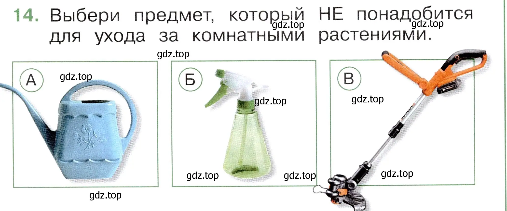 Условие номер 14 (страница 17) гдз по окружающему миру 1 класс Плешаков, Новицкая, тесты