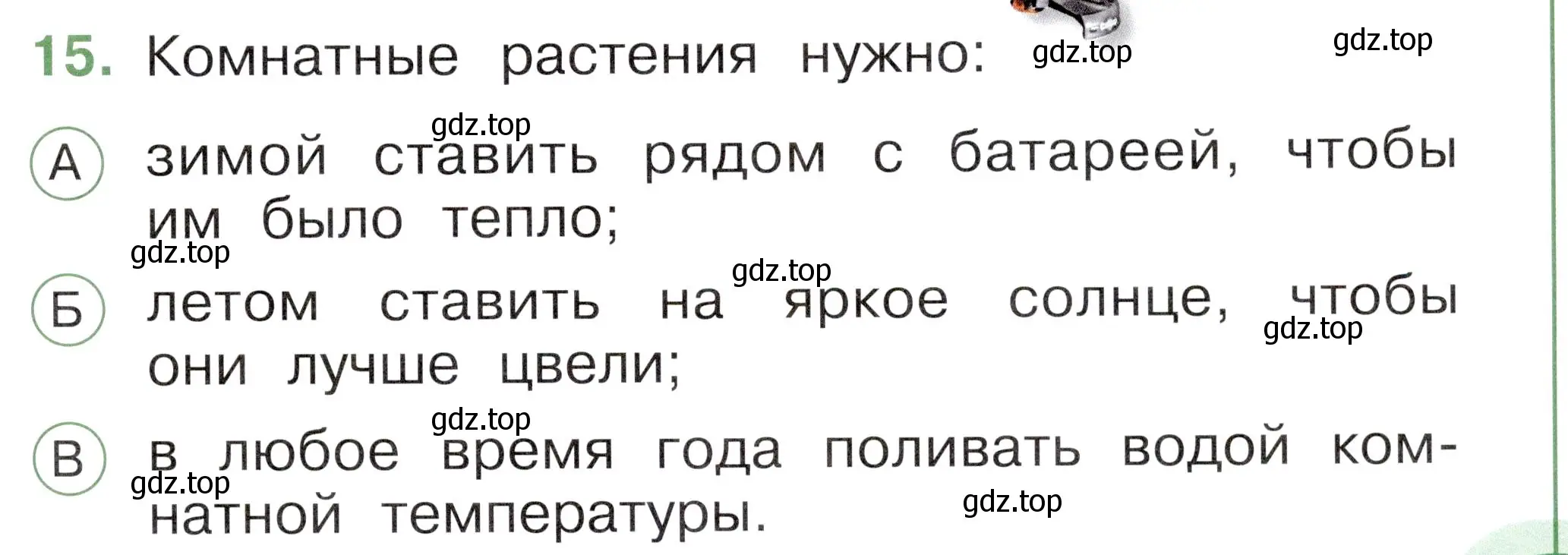 Условие номер 15 (страница 17) гдз по окружающему миру 1 класс Плешаков, Новицкая, тесты