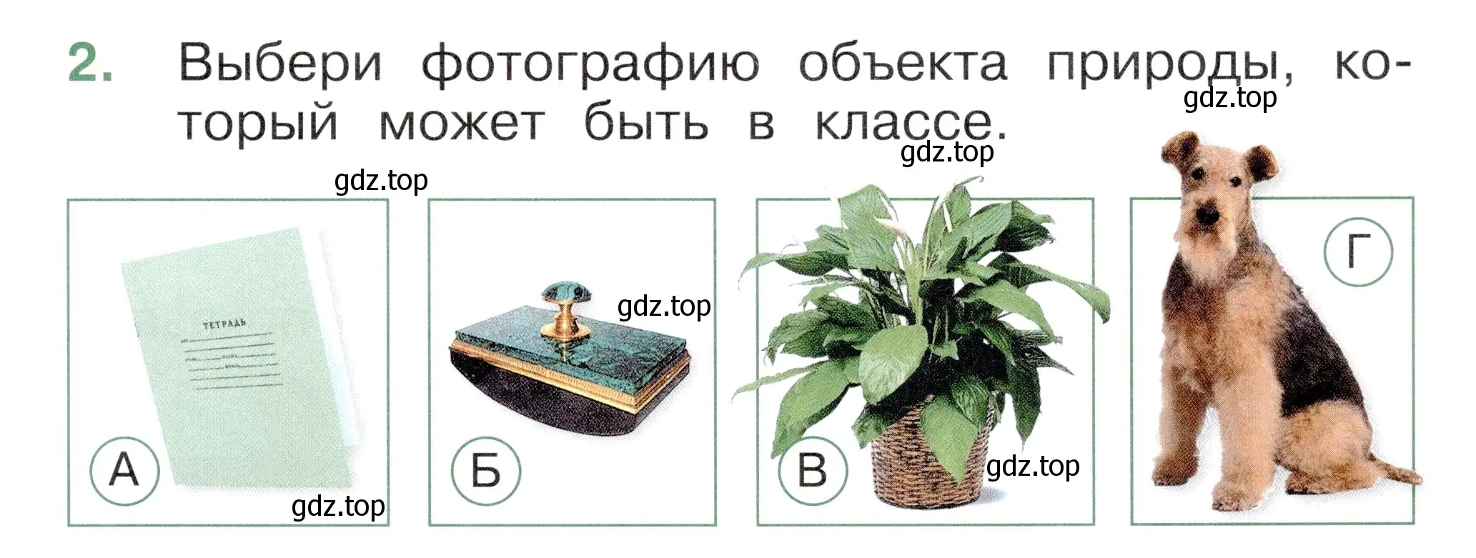 Условие номер 2 (страница 11) гдз по окружающему миру 1 класс Плешаков, Новицкая, тесты