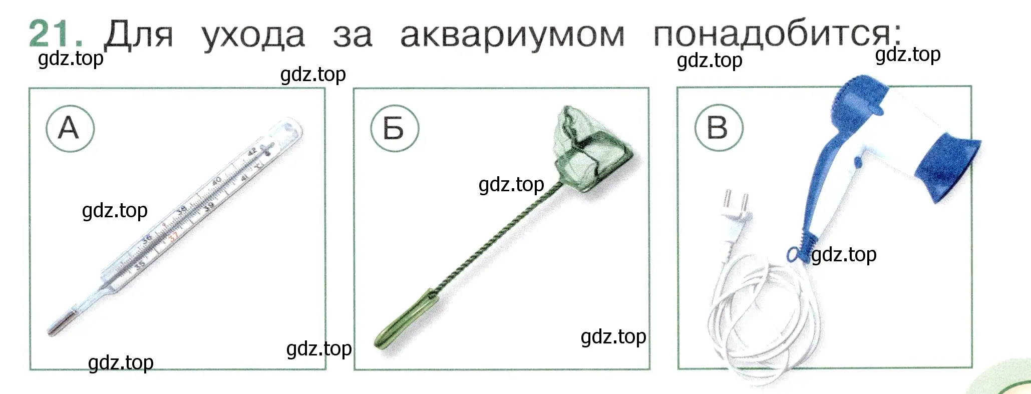 Условие номер 21 (страница 19) гдз по окружающему миру 1 класс Плешаков, Новицкая, тесты