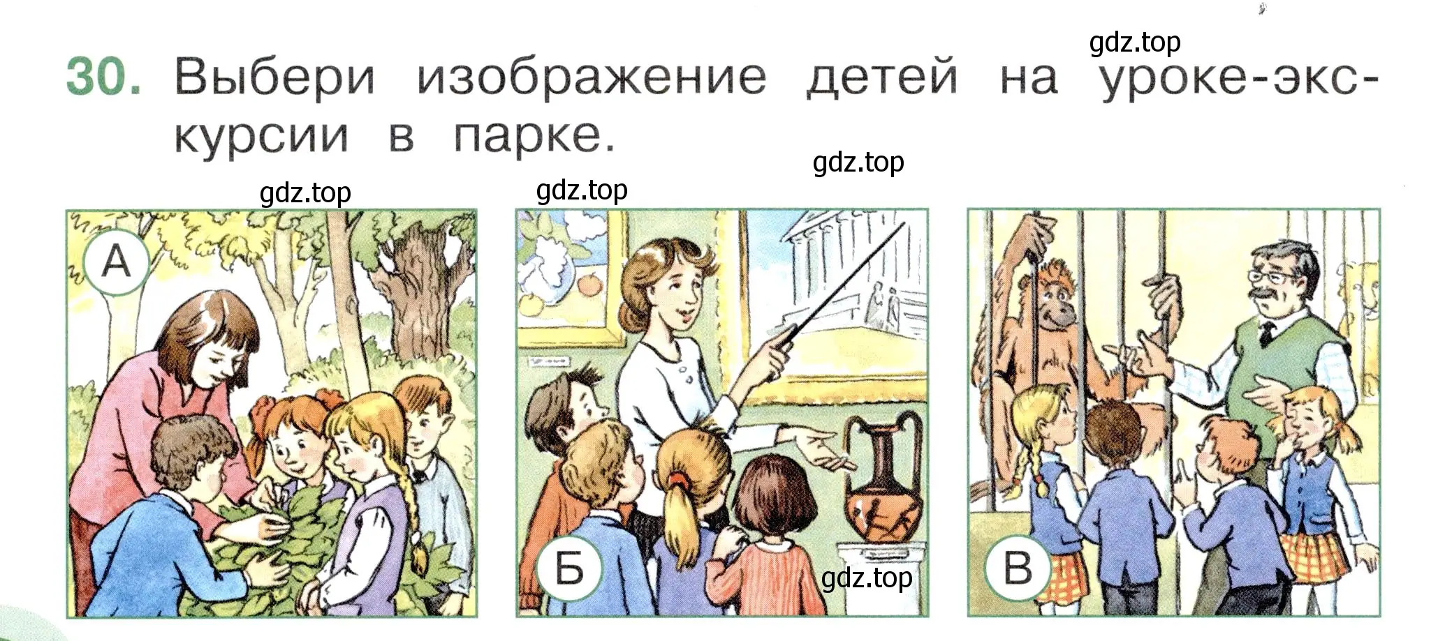 Условие номер 30 (страница 22) гдз по окружающему миру 1 класс Плешаков, Новицкая, тесты