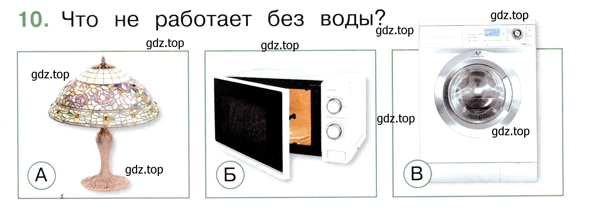 Условие номер 10 (страница 29) гдз по окружающему миру 1 класс Плешаков, Новицкая, тесты