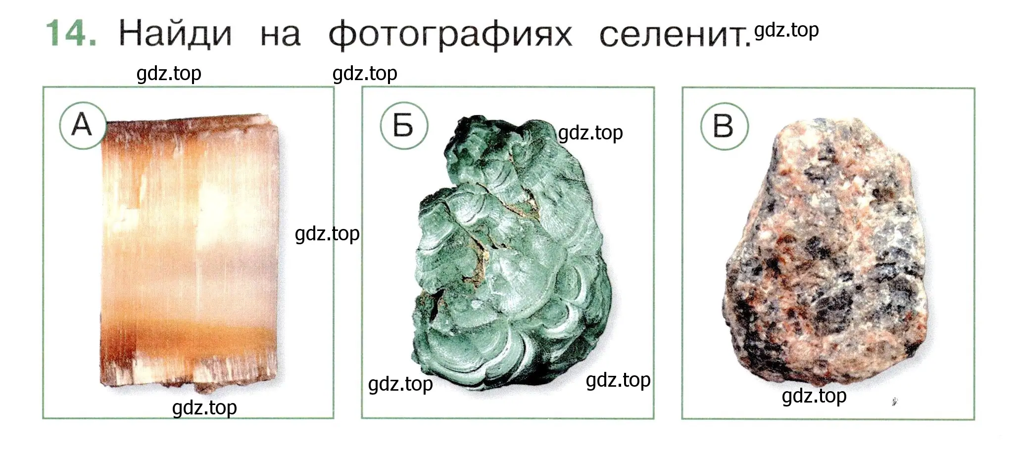 Условие номер 14 (страница 30) гдз по окружающему миру 1 класс Плешаков, Новицкая, тесты