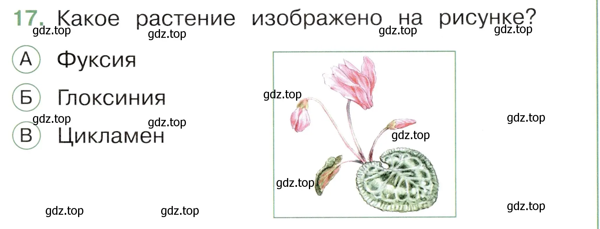 Условие номер 17 (страница 31) гдз по окружающему миру 1 класс Плешаков, Новицкая, тесты