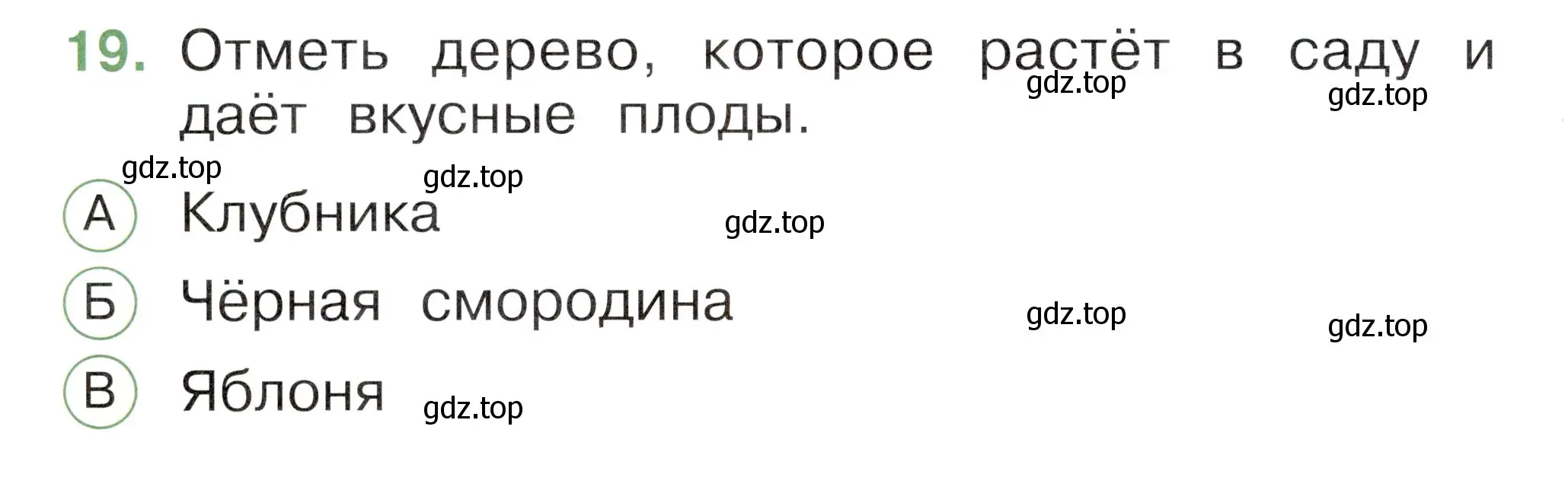 Условие номер 19 (страница 32) гдз по окружающему миру 1 класс Плешаков, Новицкая, тесты