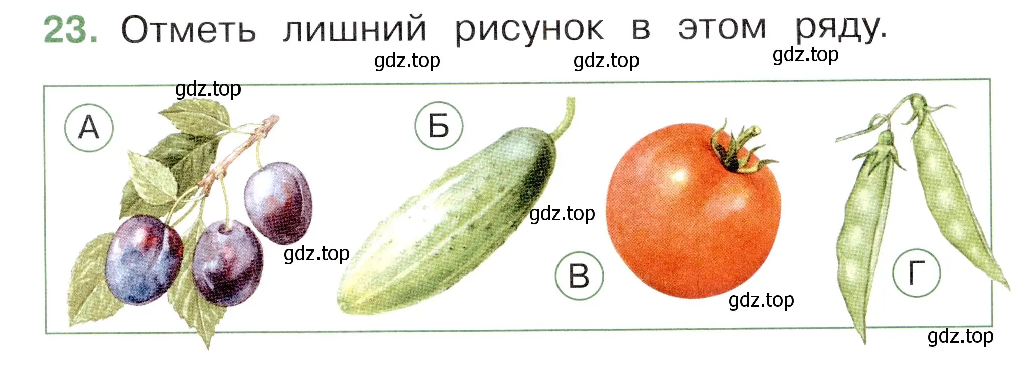 Условие номер 23 (страница 33) гдз по окружающему миру 1 класс Плешаков, Новицкая, тесты