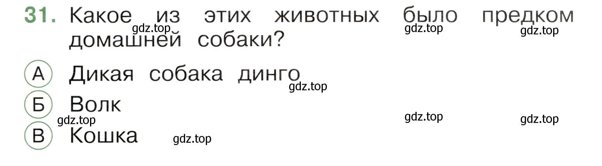 Условие номер 31 (страница 36) гдз по окружающему миру 1 класс Плешаков, Новицкая, тесты