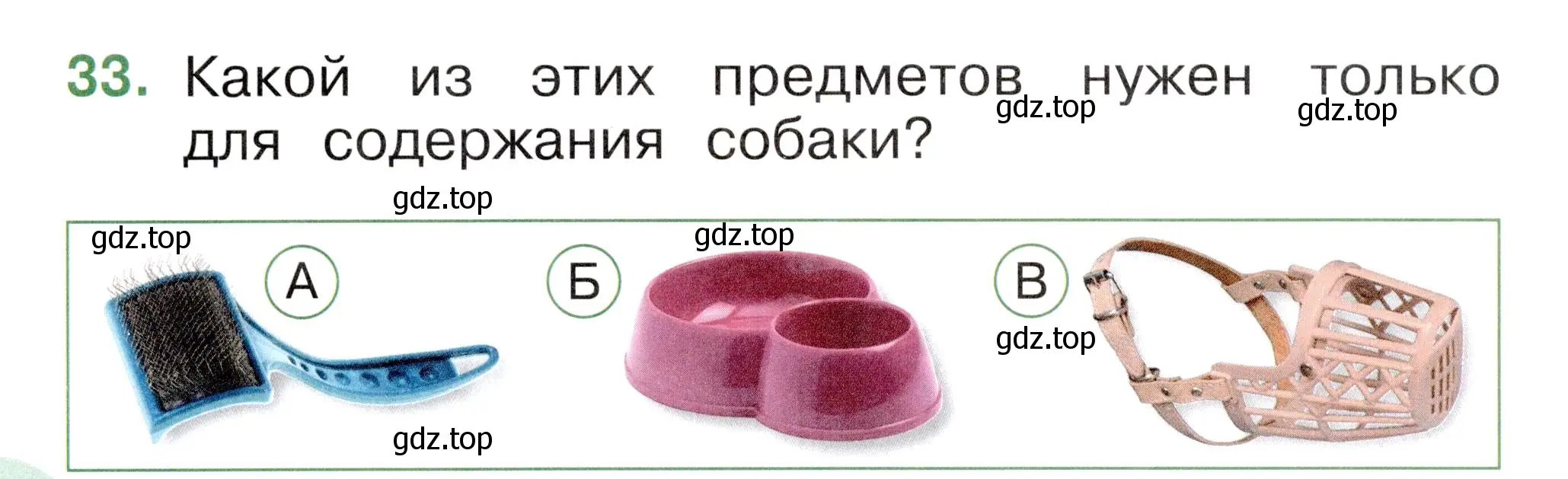 Условие номер 33 (страница 36) гдз по окружающему миру 1 класс Плешаков, Новицкая, тесты