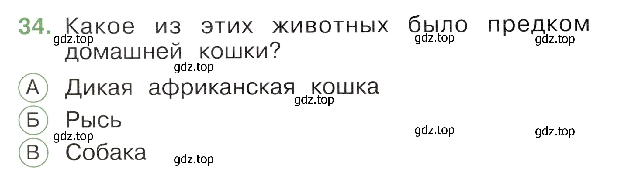 Условие номер 34 (страница 37) гдз по окружающему миру 1 класс Плешаков, Новицкая, тесты