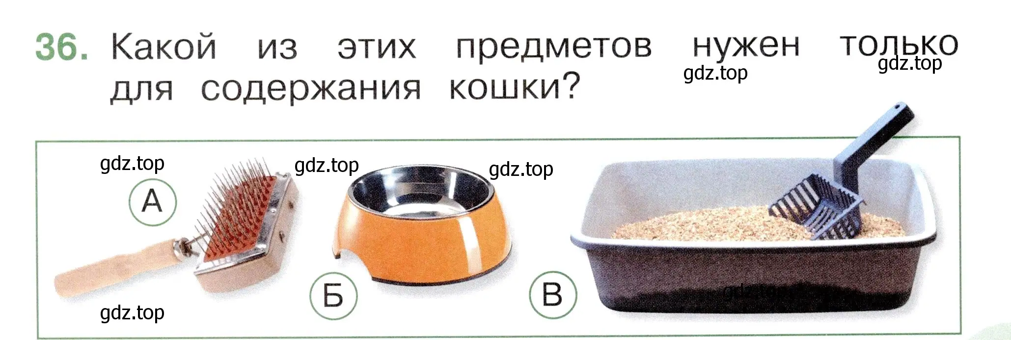 Условие номер 36 (страница 37) гдз по окружающему миру 1 класс Плешаков, Новицкая, тесты