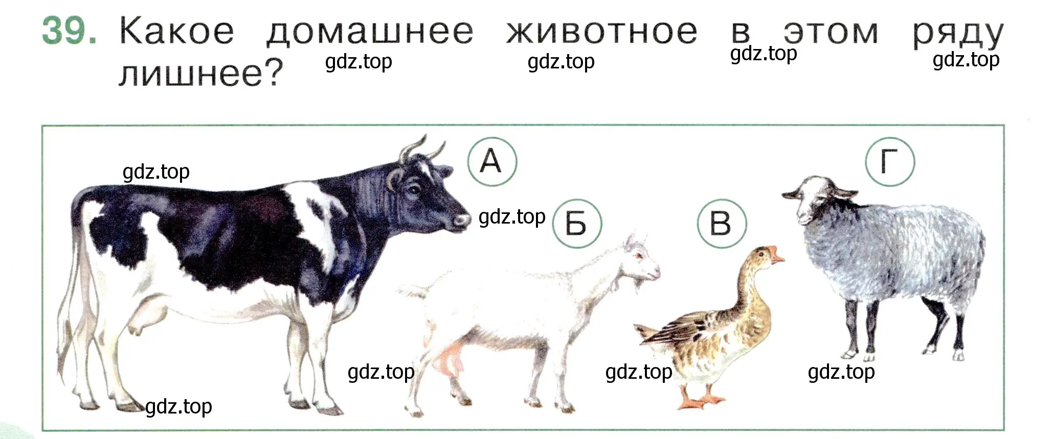 Условие номер 39 (страница 38) гдз по окружающему миру 1 класс Плешаков, Новицкая, тесты