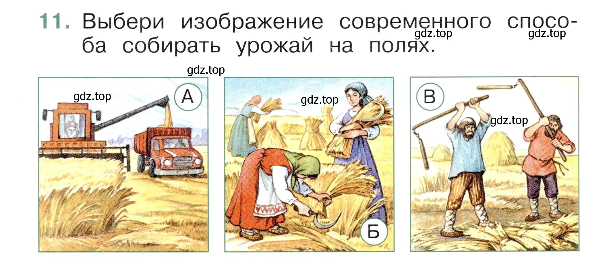 Условие номер 11 (страница 43) гдз по окружающему миру 1 класс Плешаков, Новицкая, тесты