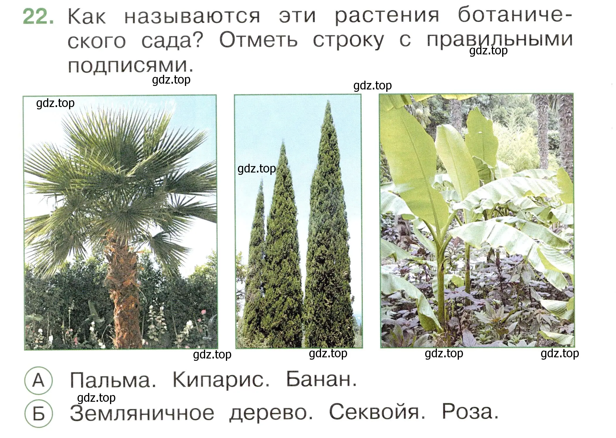 Условие номер 22 (страница 48) гдз по окружающему миру 1 класс Плешаков, Новицкая, тесты