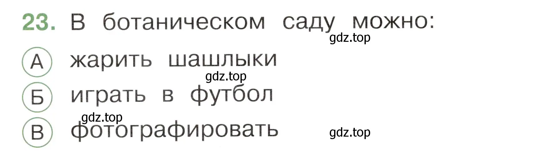 Условие номер 23 (страница 48) гдз по окружающему миру 1 класс Плешаков, Новицкая, тесты