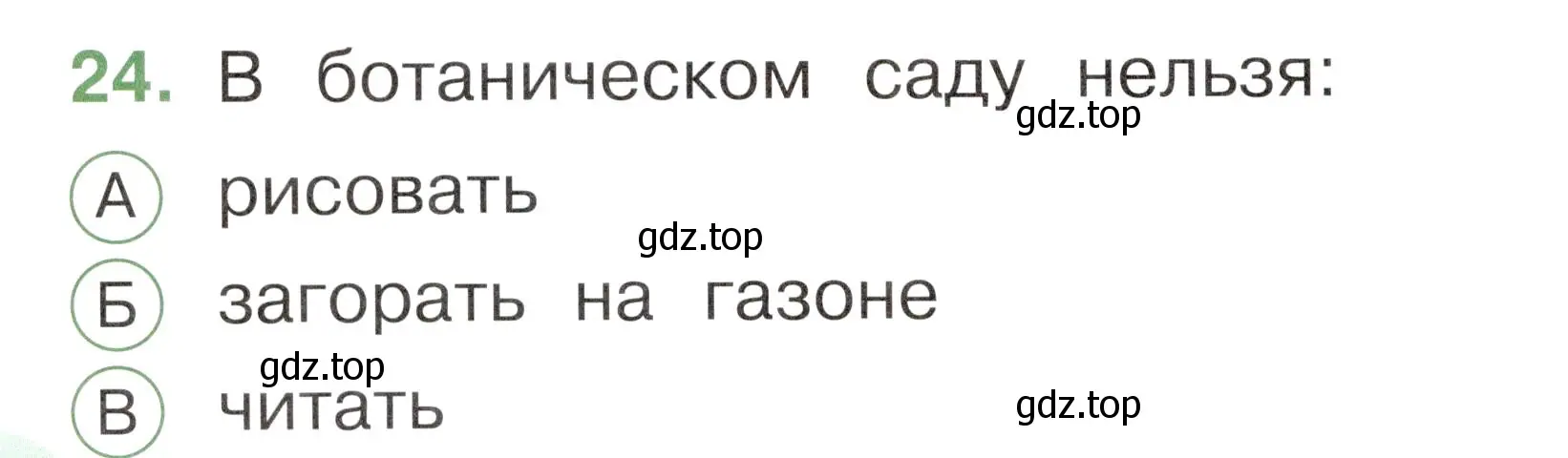 Условие номер 24 (страница 48) гдз по окружающему миру 1 класс Плешаков, Новицкая, тесты