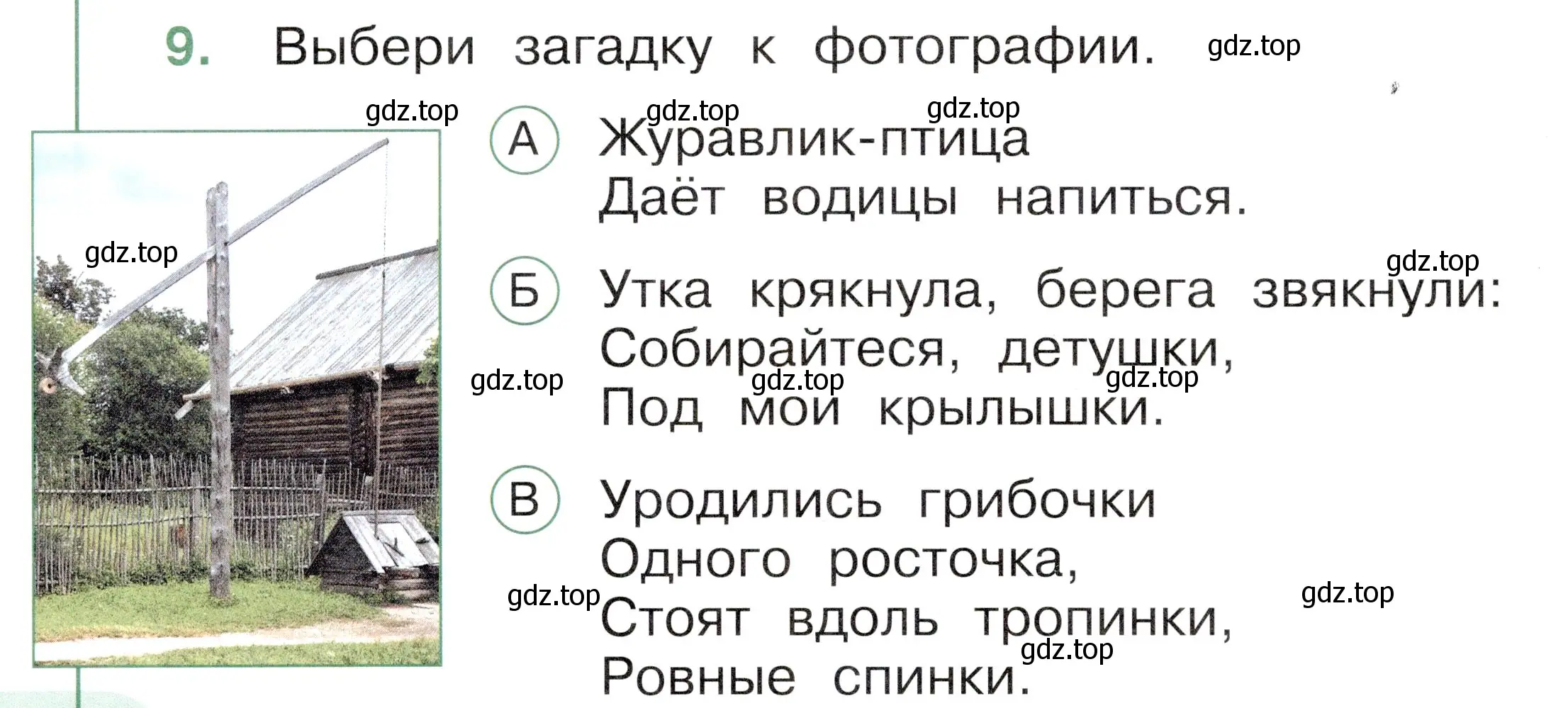 Условие номер 9 (страница 42) гдз по окружающему миру 1 класс Плешаков, Новицкая, тесты