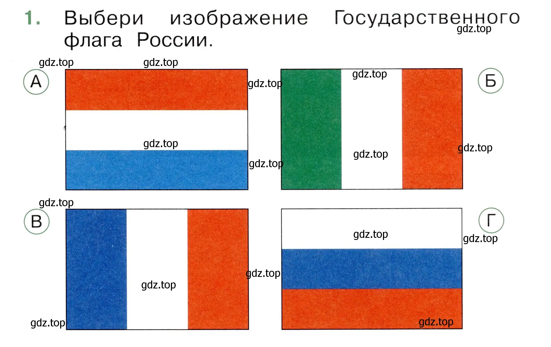 Условие номер 1 (страница 53) гдз по окружающему миру 1 класс Плешаков, Новицкая, тесты