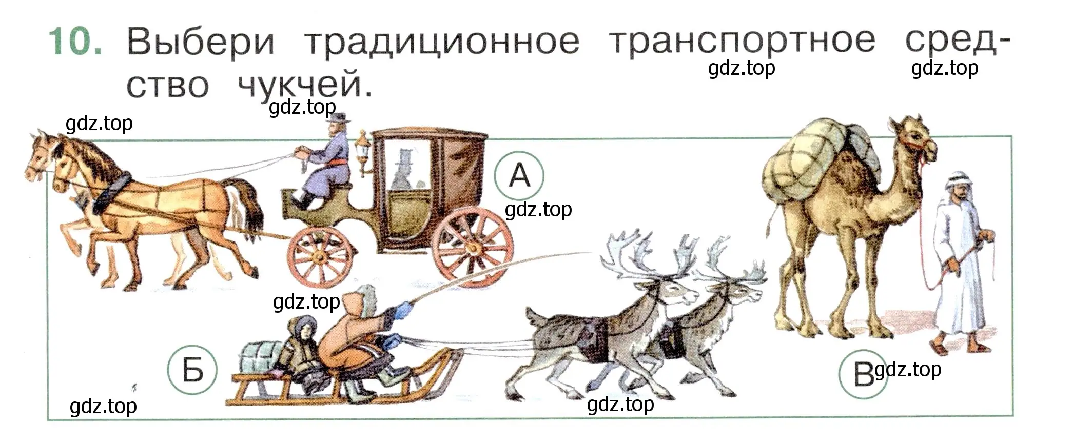 Условие номер 10 (страница 59) гдз по окружающему миру 1 класс Плешаков, Новицкая, тесты