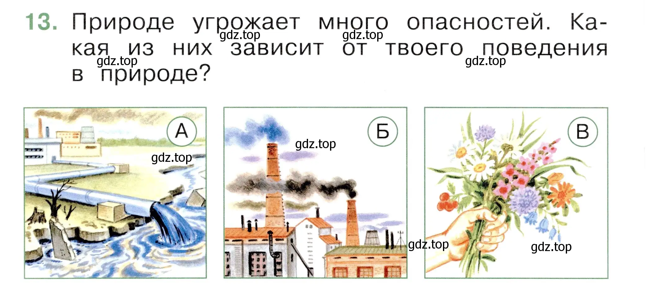 Условие номер 13 (страница 60) гдз по окружающему миру 1 класс Плешаков, Новицкая, тесты