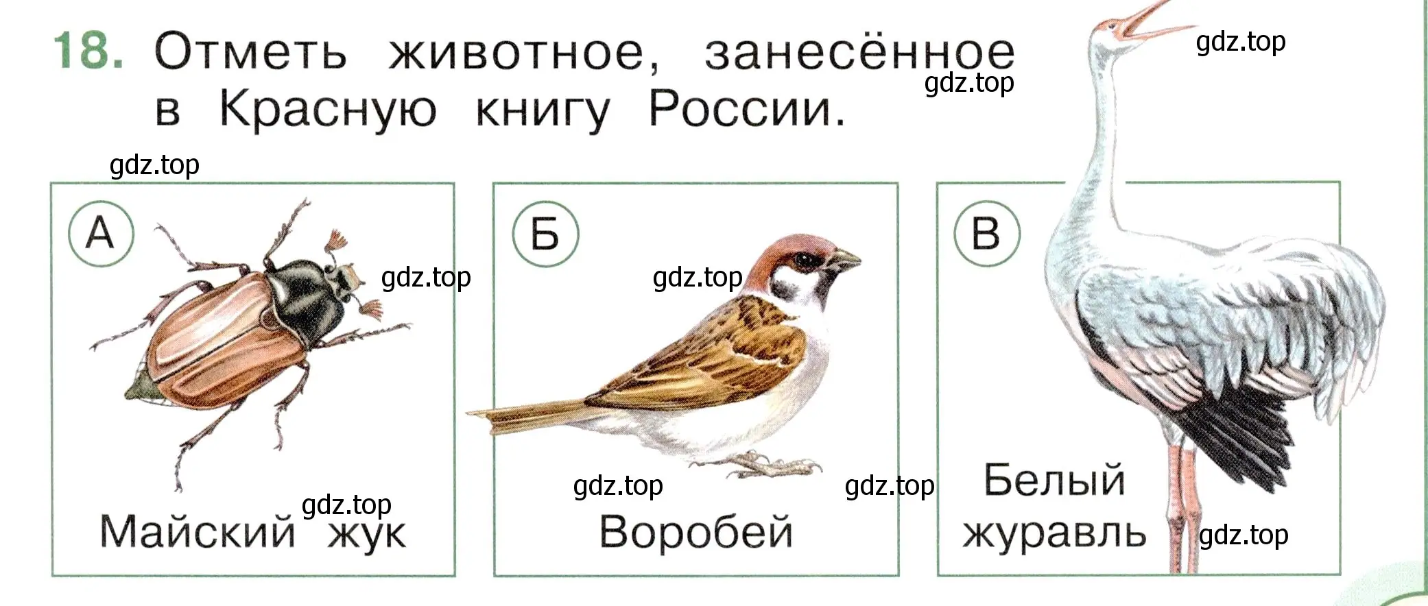 Условие номер 18 (страница 61) гдз по окружающему миру 1 класс Плешаков, Новицкая, тесты