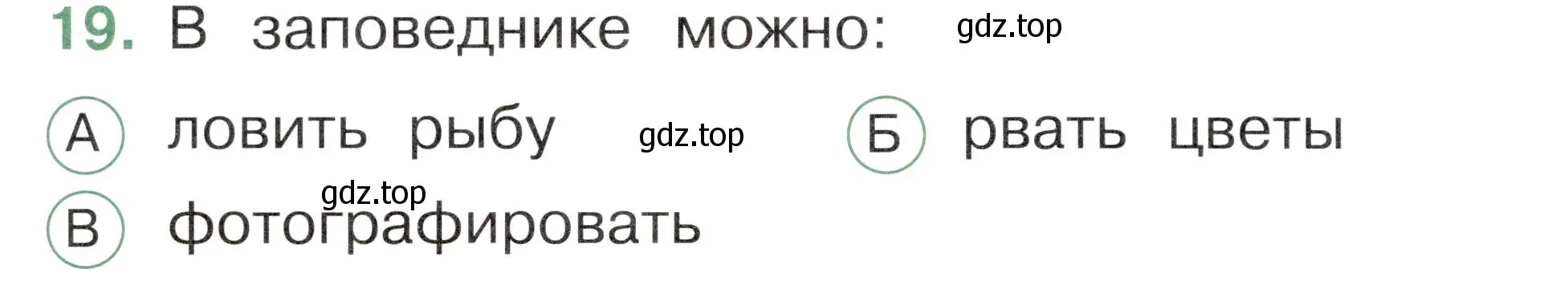 Условие номер 19 (страница 62) гдз по окружающему миру 1 класс Плешаков, Новицкая, тесты