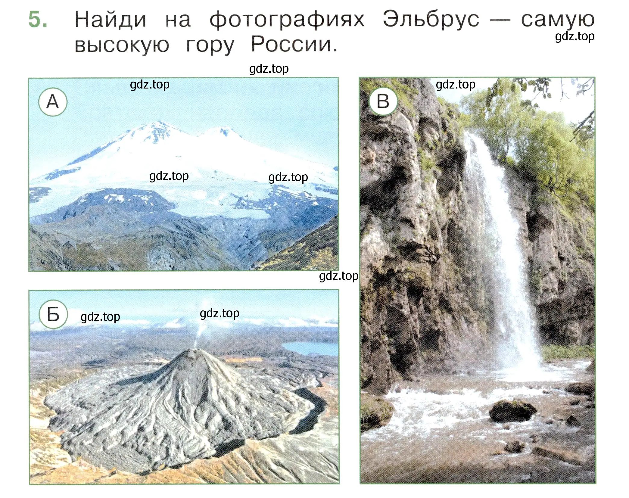 Условие номер 5 (страница 56) гдз по окружающему миру 1 класс Плешаков, Новицкая, тесты