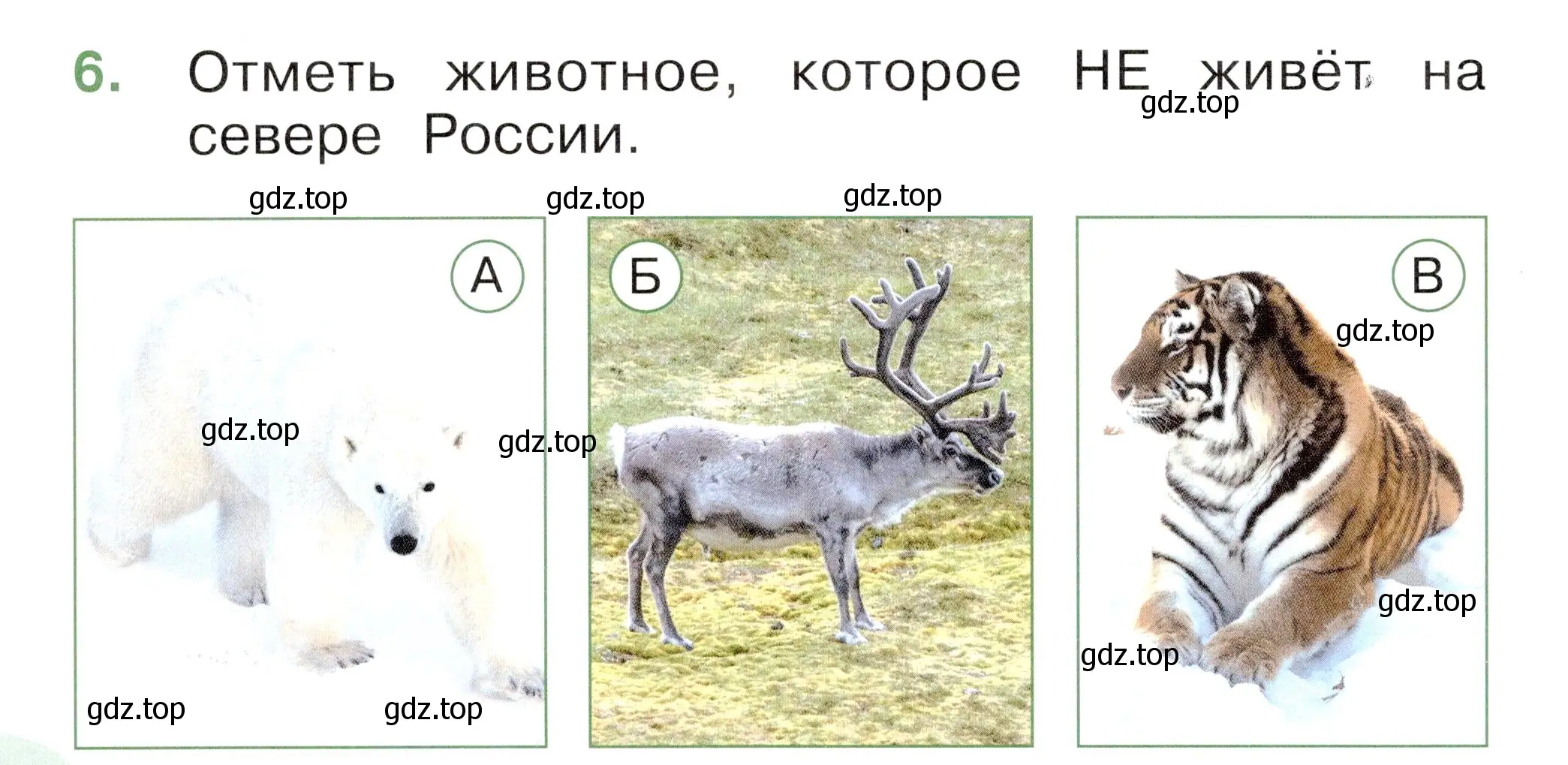 Условие номер 6 (страница 56) гдз по окружающему миру 1 класс Плешаков, Новицкая, тесты