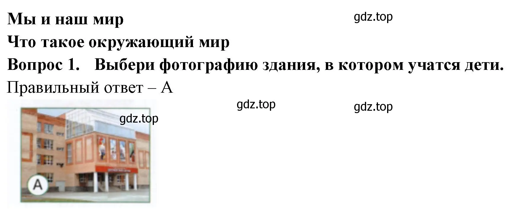 Решение номер 1 (страница 3) гдз по окружающему миру 1 класс Плешаков, Новицкая, тесты