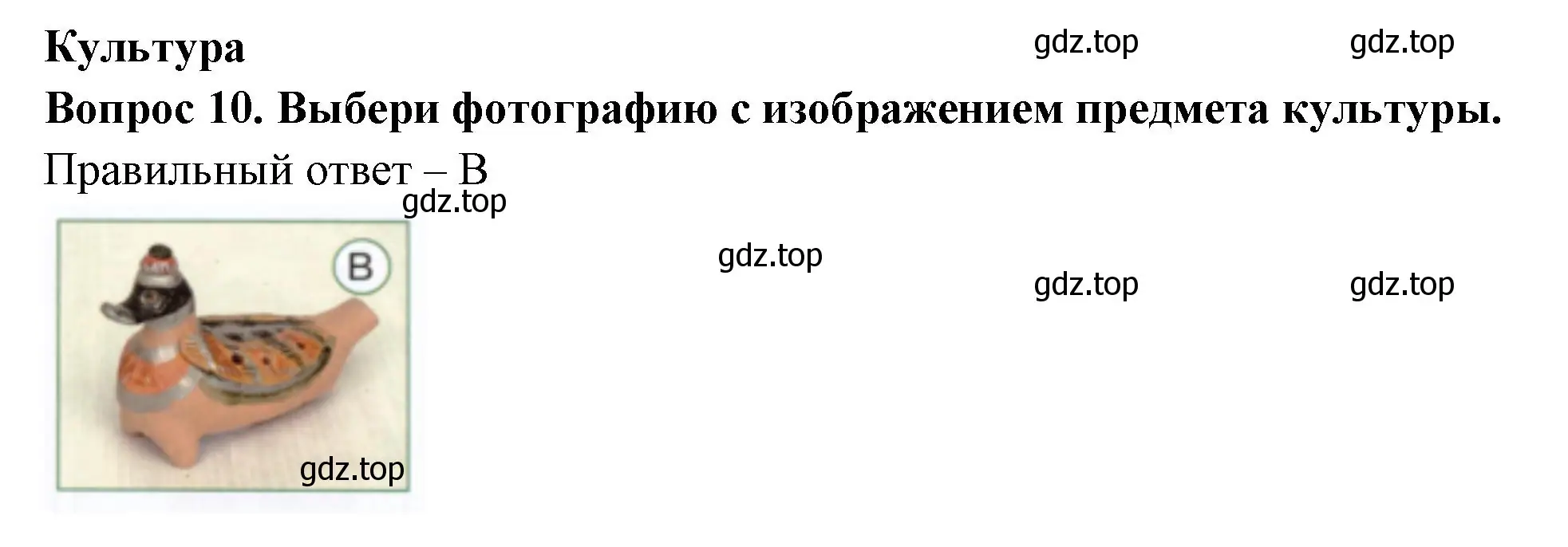 Решение номер 10 (страница 6) гдз по окружающему миру 1 класс Плешаков, Новицкая, тесты