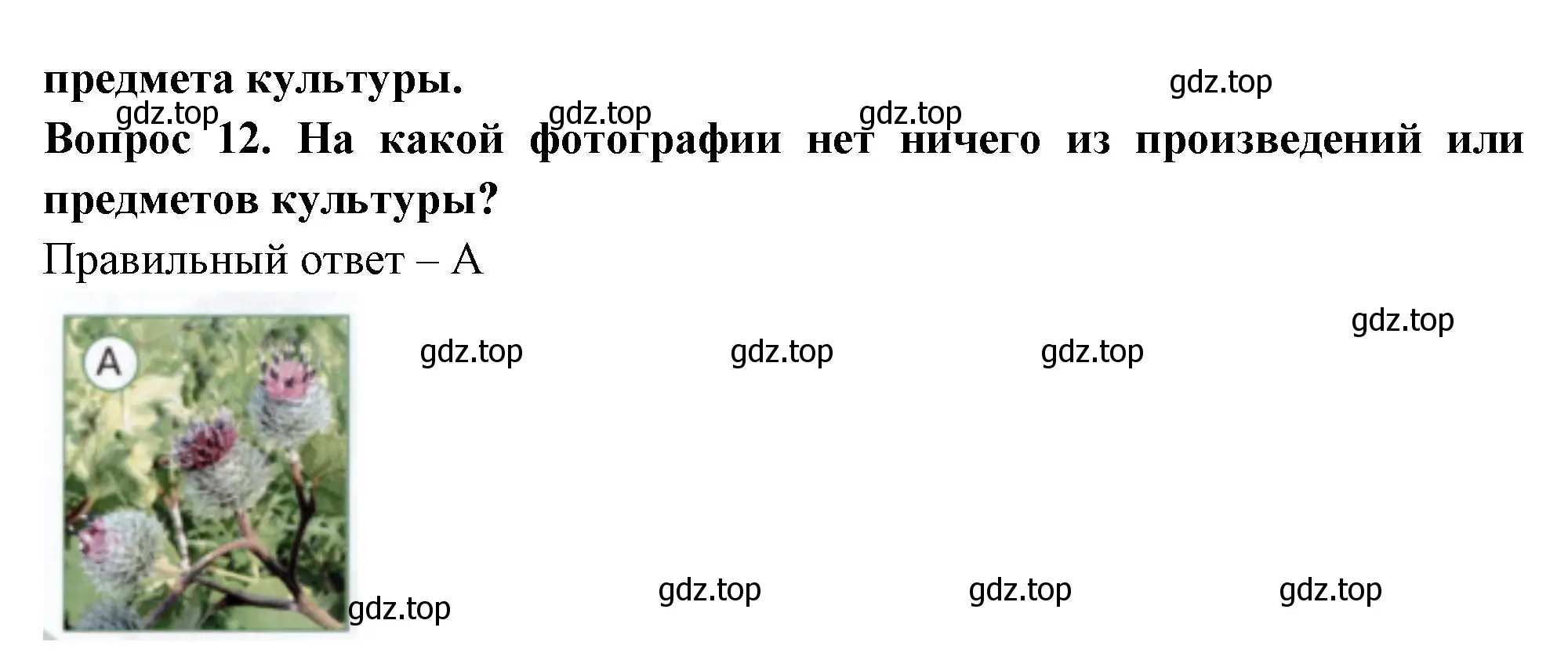 Решение номер 12 (страница 6) гдз по окружающему миру 1 класс Плешаков, Новицкая, тесты