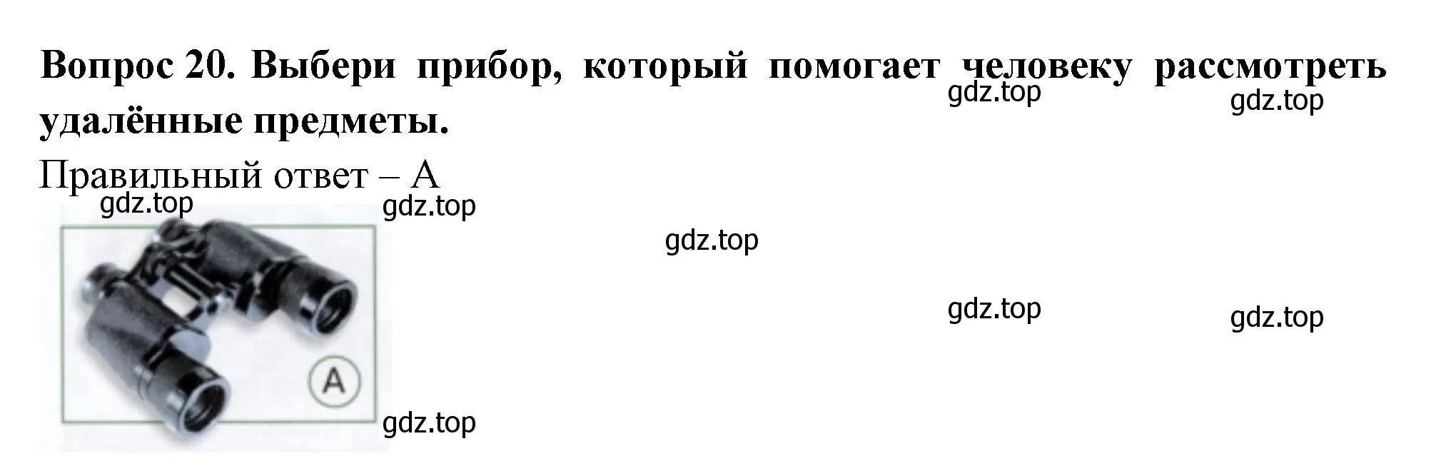 Решение номер 20 (страница 9) гдз по окружающему миру 1 класс Плешаков, Новицкая, тесты