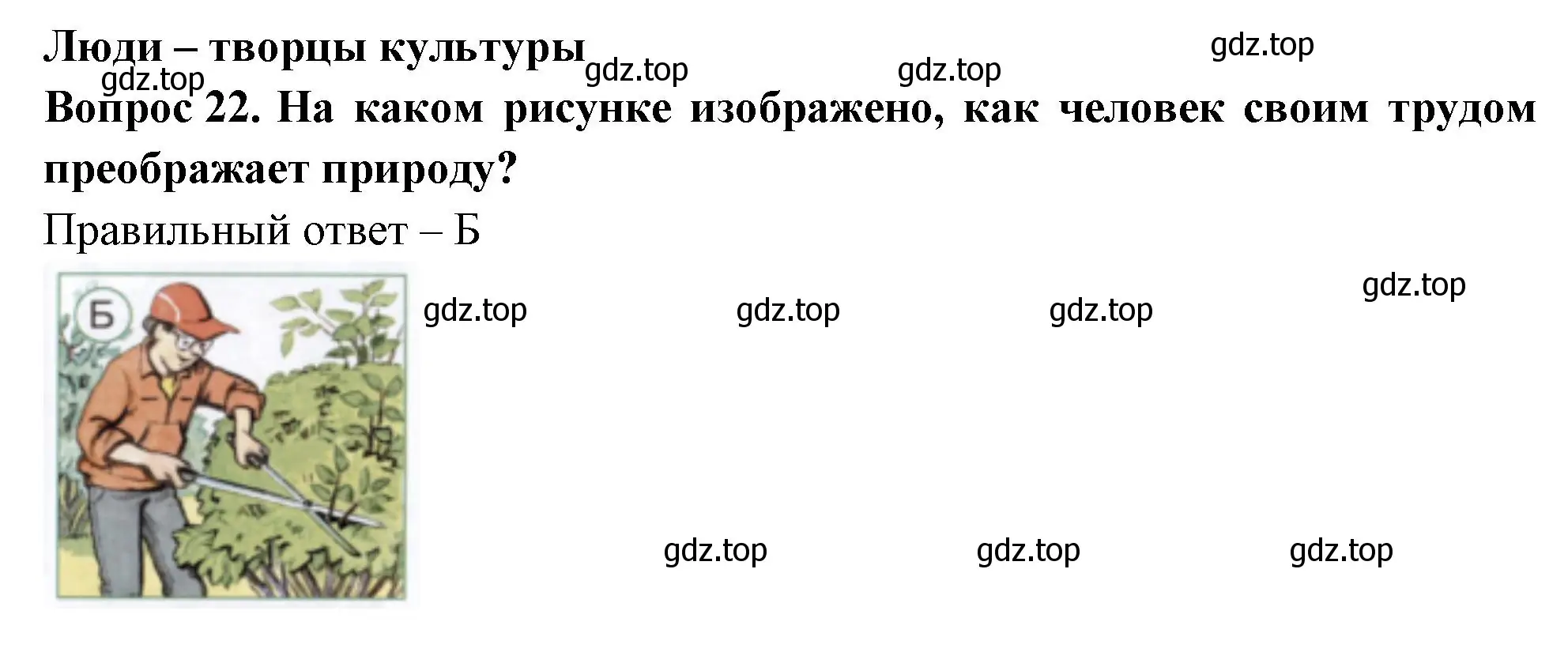 Решение номер 22 (страница 10) гдз по окружающему миру 1 класс Плешаков, Новицкая, тесты