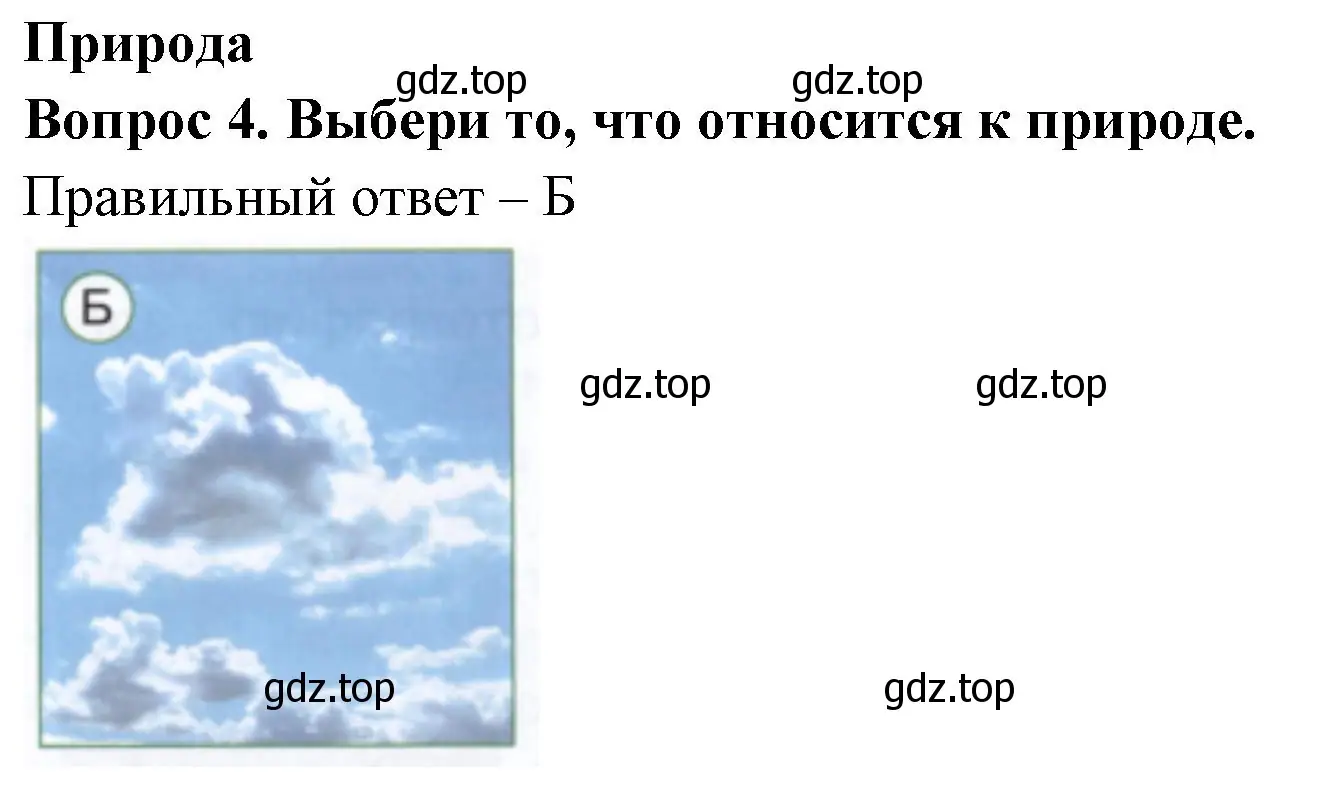 Решение номер 4 (страница 4) гдз по окружающему миру 1 класс Плешаков, Новицкая, тесты