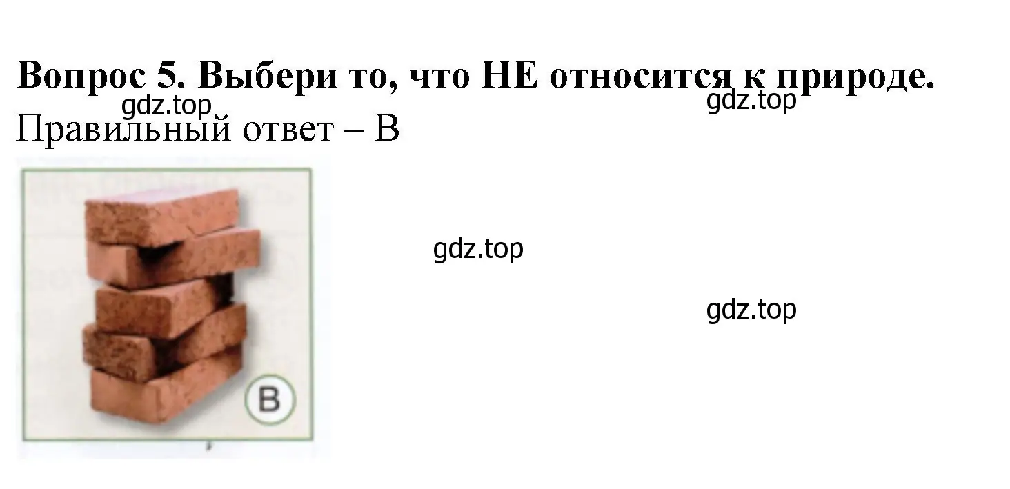 Решение номер 5 (страница 4) гдз по окружающему миру 1 класс Плешаков, Новицкая, тесты