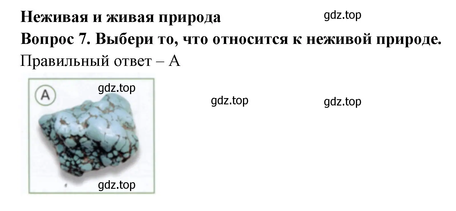 Решение номер 7 (страница 5) гдз по окружающему миру 1 класс Плешаков, Новицкая, тесты