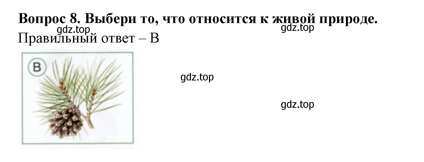 Решение номер 8 (страница 5) гдз по окружающему миру 1 класс Плешаков, Новицкая, тесты