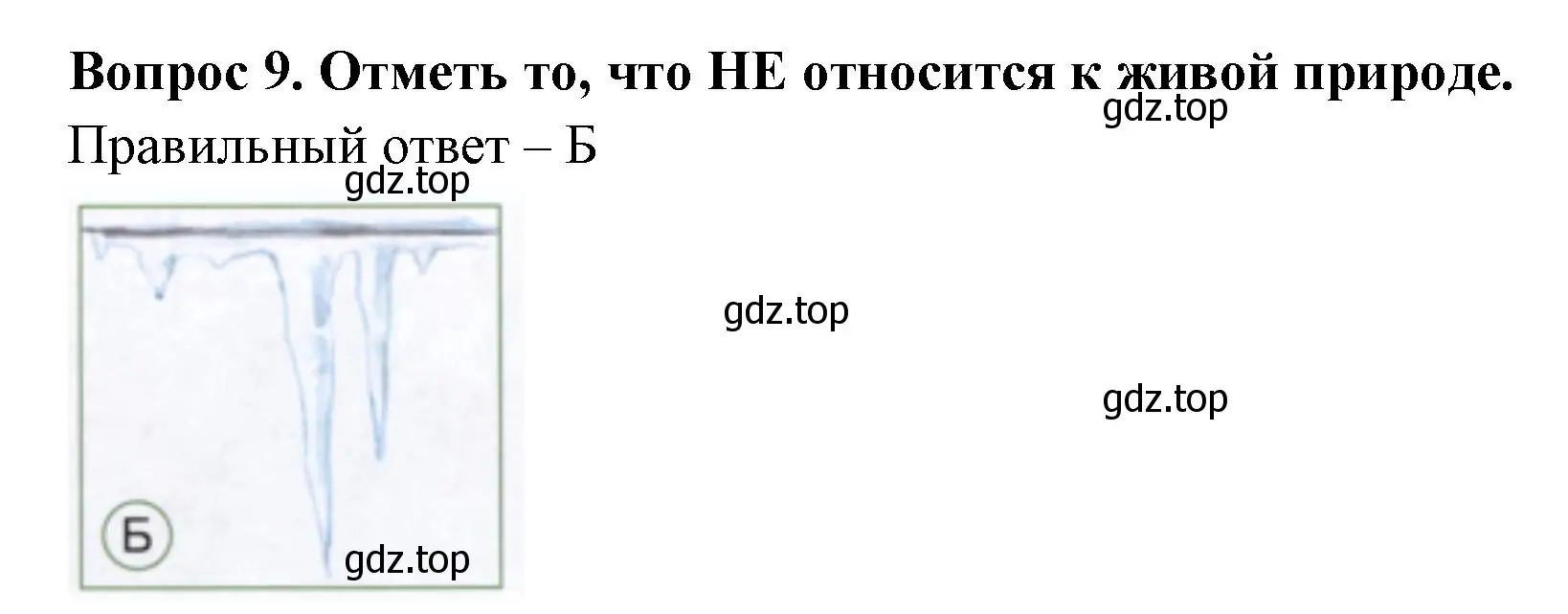 Решение номер 9 (страница 5) гдз по окружающему миру 1 класс Плешаков, Новицкая, тесты