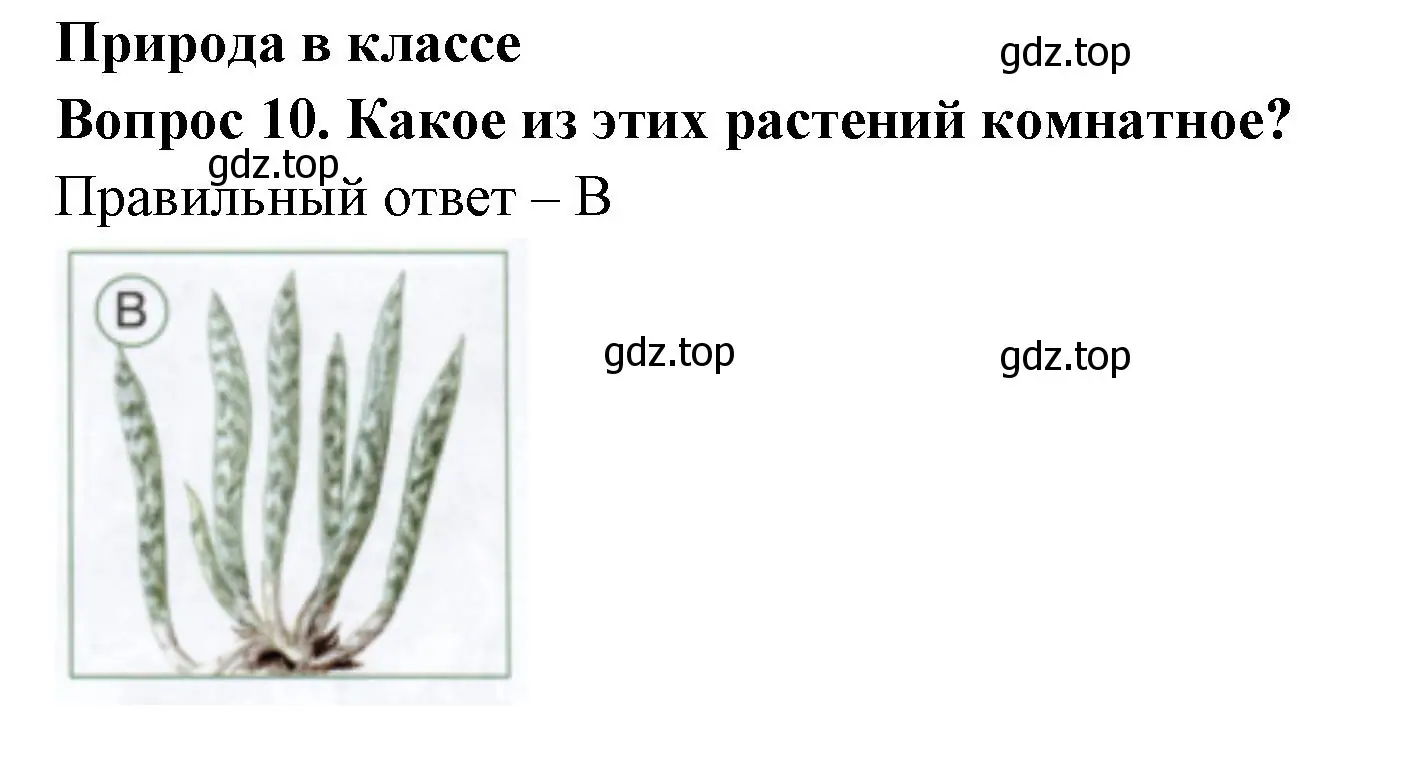 Решение номер 10 (страница 16) гдз по окружающему миру 1 класс Плешаков, Новицкая, тесты