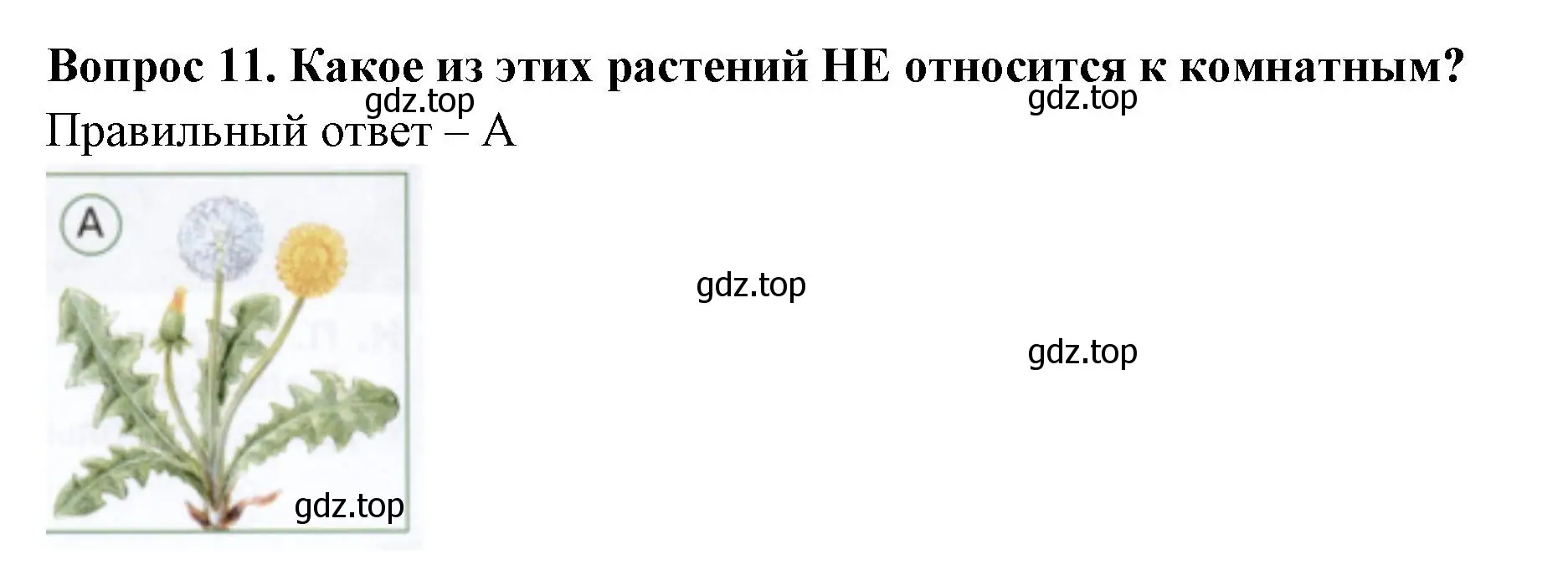 Решение номер 11 (страница 16) гдз по окружающему миру 1 класс Плешаков, Новицкая, тесты