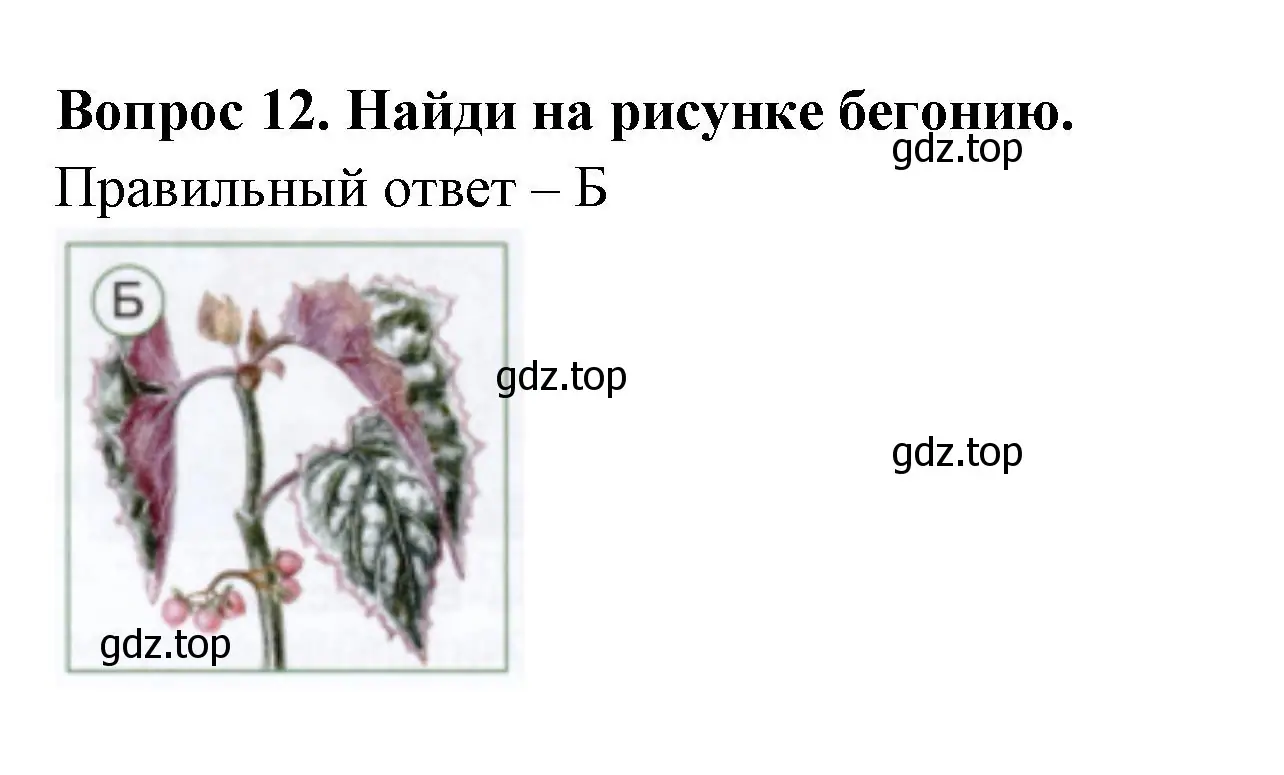 Решение номер 12 (страница 16) гдз по окружающему миру 1 класс Плешаков, Новицкая, тесты