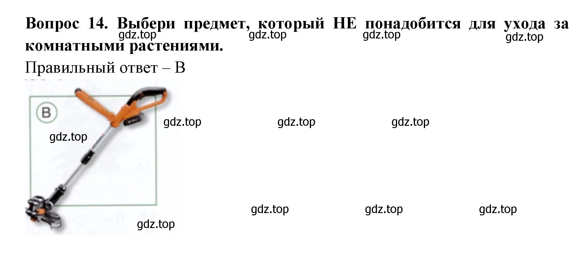 Решение номер 14 (страница 17) гдз по окружающему миру 1 класс Плешаков, Новицкая, тесты