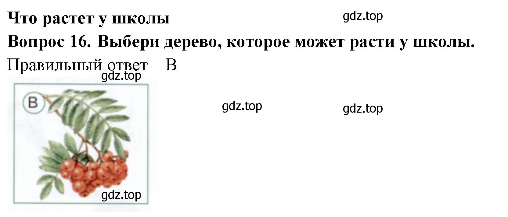 Решение номер 16 (страница 18) гдз по окружающему миру 1 класс Плешаков, Новицкая, тесты