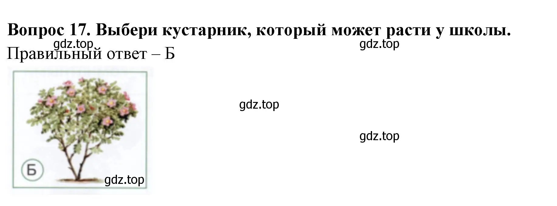 Решение номер 17 (страница 18) гдз по окружающему миру 1 класс Плешаков, Новицкая, тесты