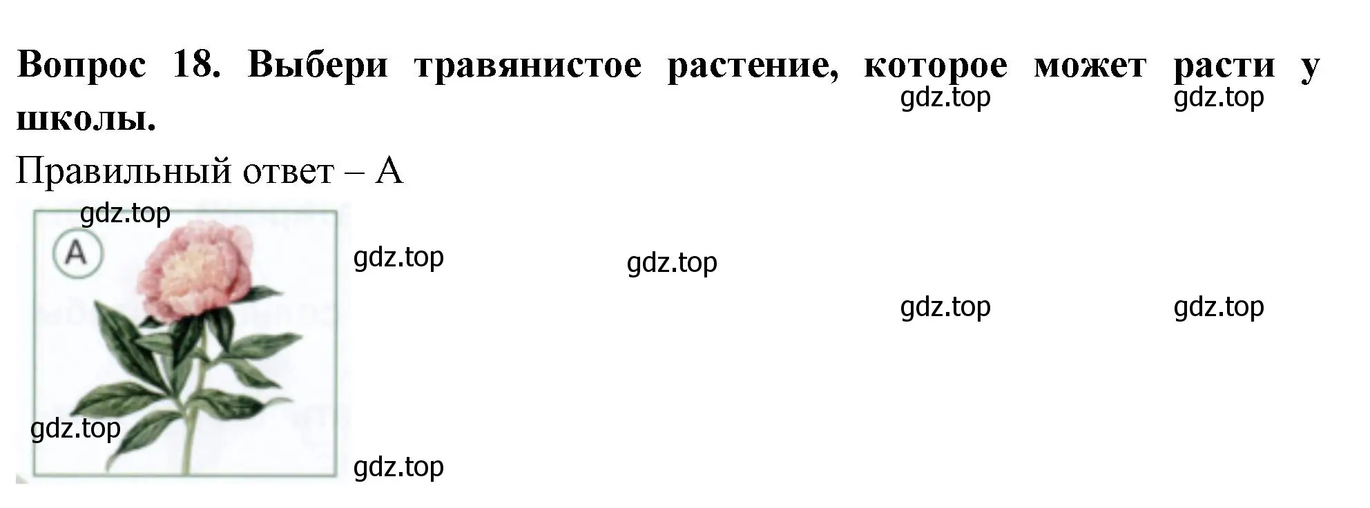 Решение номер 18 (страница 18) гдз по окружающему миру 1 класс Плешаков, Новицкая, тесты